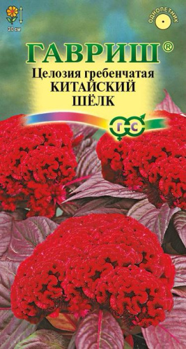 Целозия гребенчатая Китайский шелк 