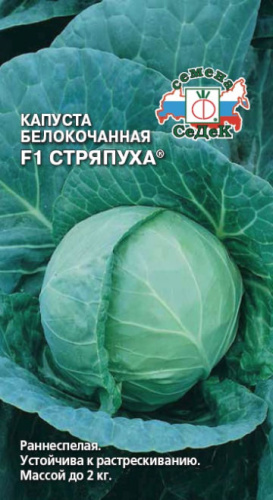 Капуста Стряпуха ® F1 