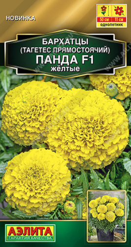 Бархатцы Панда F1 желтые прямостоячие