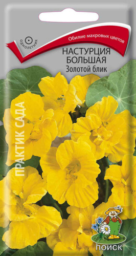 Настурция большая Золотой блик