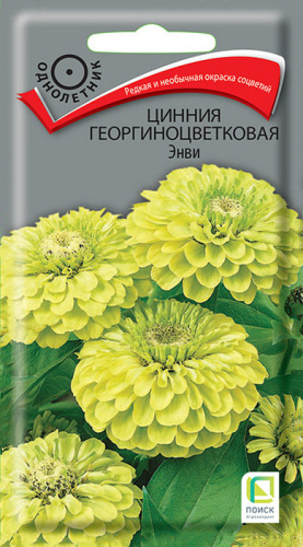 Цинния Энви георгиноцветковая
