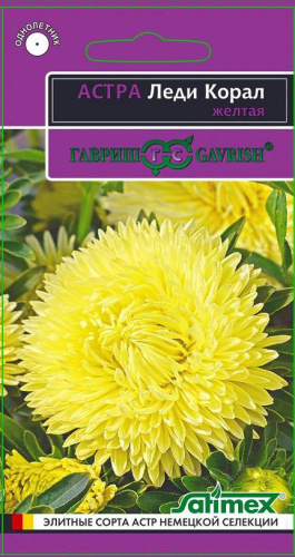 Астра Леди Коралл желтая 