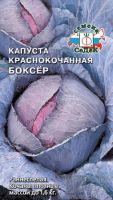 Капуста (к/к) Боксер  купить