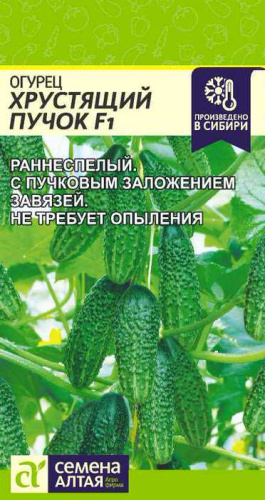 Огурец Хрустящий Пучок F1 