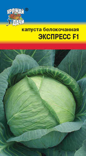 Капуста Экспресс F1
