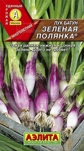Лук Зеленая полянка, батун