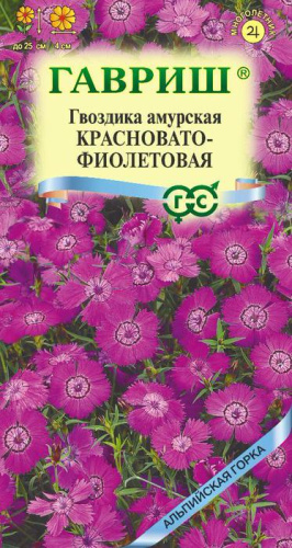Гвоздика амурская Красновато-Фиолетовая 