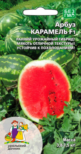 Арбуз Карамель F1