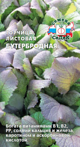 Горчица Бутербродная красная 