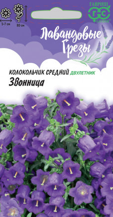 Колокольчик Звонница, средний серия Лавандовые грезы 