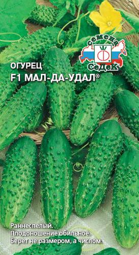 Огурец Мал-Да-Удал F1