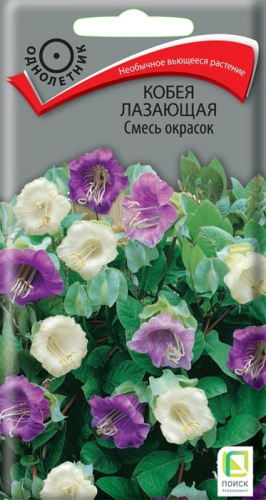 Кобея Лазающая, смесь 