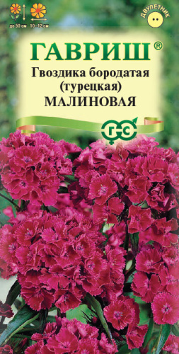 Гвоздика Малиновая турецкая