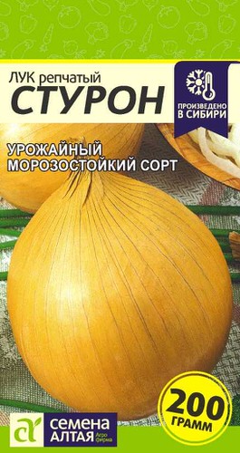 Лук (репчатый) Стурон 