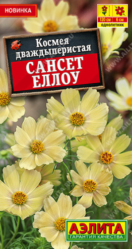 Космея Сансет еллоу