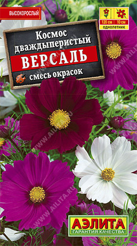 Космея Версаль, смесь 