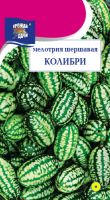 Мелотрия Колибри (мини-арбуз)  купить