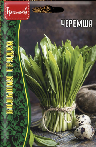 Черемша