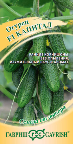 Огурец Капитал автор.