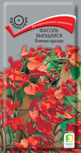 Фасоль вьющаяся Огненно-красная