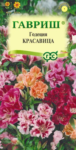 Годеция Красавица прелестная смесь 