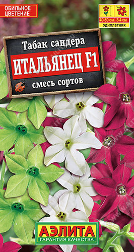 Табак Итальянец душистый 