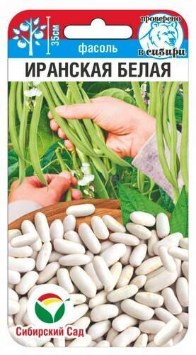 Фасоль Иранская белая