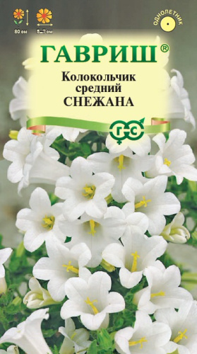 Колокольчик средний Снежана 