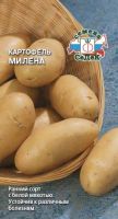 Картофель (семена) Милена  купить