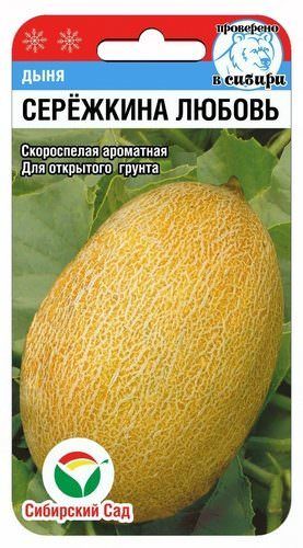 Дыня Сережкина Любовь 