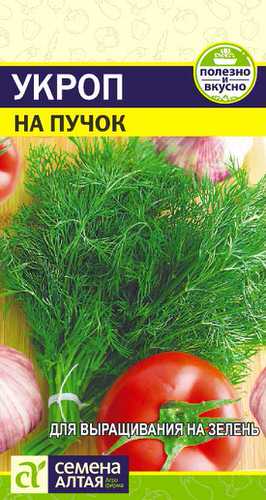 Укроп На Пучок 