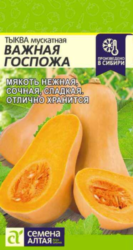 Тыква Важная госпожа  Тыква Важная госпожа