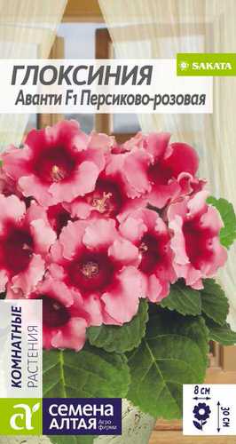 Глоксиния Аванти F1 Персиково-розовая