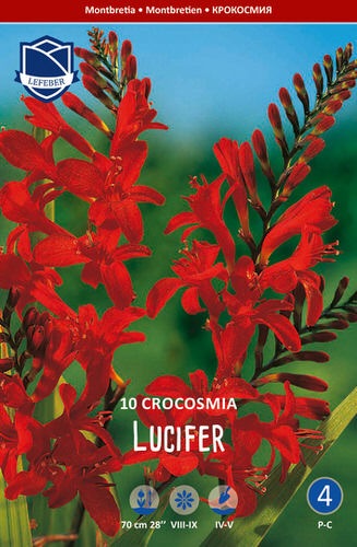 Крокосмия Lucifer /10шт