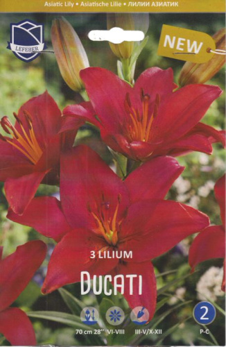Лилия азиатская Ducati /3шт 