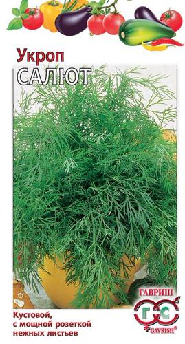 Укроп Салют 