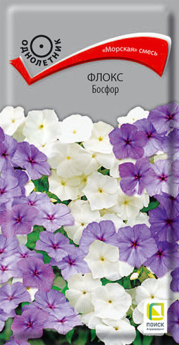 Флокс Босфор