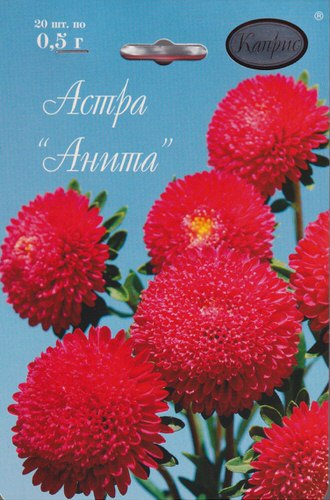 Астра Помпонная Анита красная/1шт 