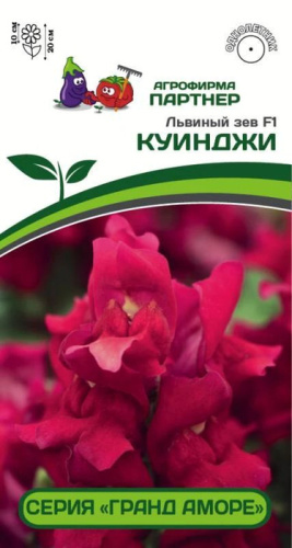 Львиный Зев Гранд Аморе F1 Куинджи 