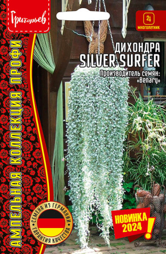Дихондра Сильвер Серфер (Silver Surfer)