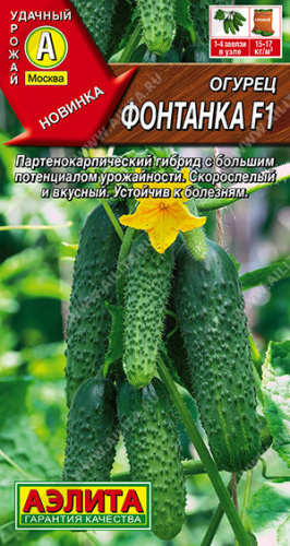 Огурец Фонтанка F1