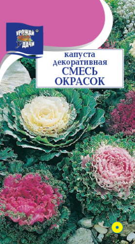Капуста декоративная, смесь