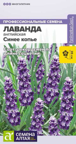 Лаванда Синее копье узколистная