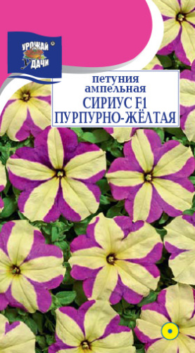 Петуния Сириус F1 Пурпурно-жёлтая ампельная 