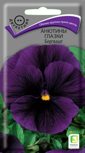 Анютины глазки Бергвашт