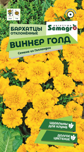 Бархатцы Виннер Голд отклоненные