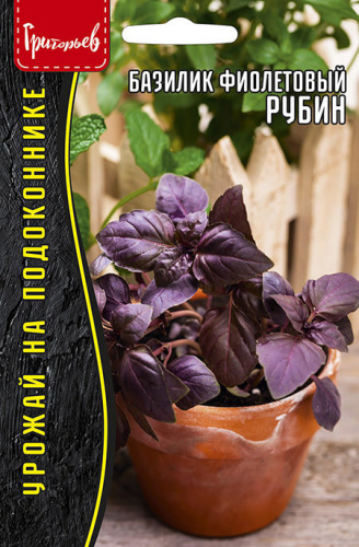 Базилик Рубин фиолетовый