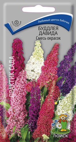 Буддлея Давида Смесь окрасок