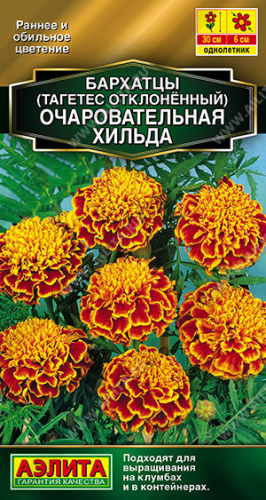 Бархатцы Очаровательная Хильда отклоненные, смесь