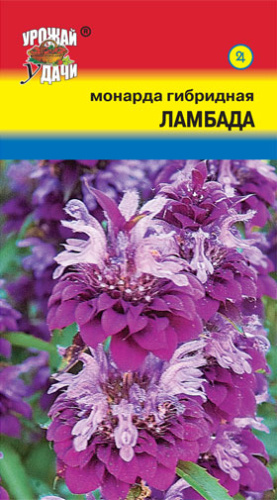 Монарда Ламбада гибридная 